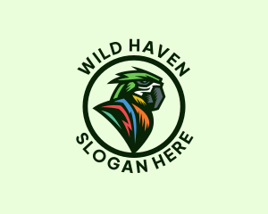 Wild Parrot Bird logo design