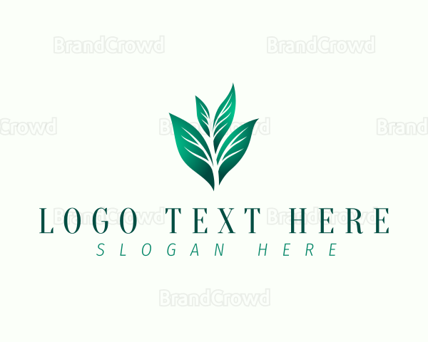 Natural Eco Leaf Logo