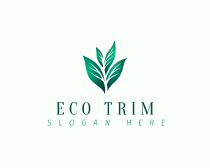 Natural Eco Leaf logo design