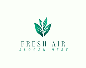 Natural Eco Leaf logo design