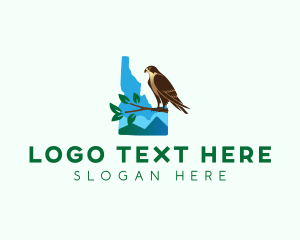 Avian - Idaho State  Peregrine Falcon logo design