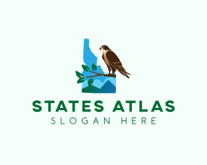 Idaho State  Peregrine Falcon logo design