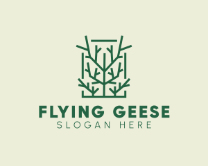 Garden Forest Tree Branch logo design