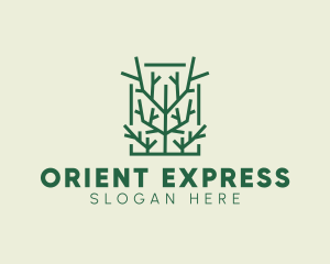 Garden Forest Tree Branch logo design