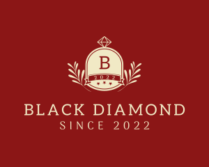 Academy Diamond Leaf Banner logo design