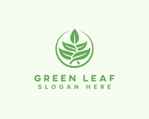 Leaf Plant Gardening logo design