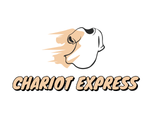 Express Tee Laundry  logo design