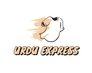 Express Tee Laundry  logo design