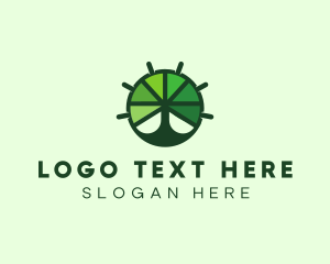 Green Steering Wheel Tree logo design