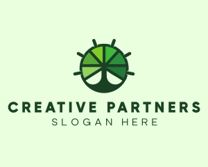 Green Steering Wheel Tree logo design