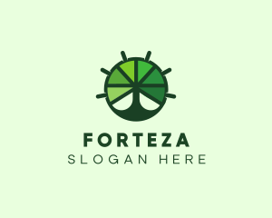 Green Steering Wheel Tree logo design