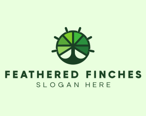 Green Steering Wheel Tree logo design