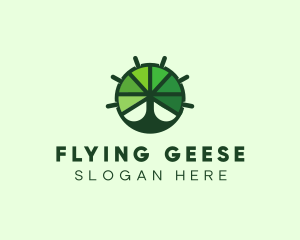 Green Steering Wheel Tree logo design