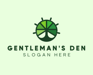 Green Steering Wheel Tree logo design