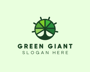 Green Steering Wheel Tree logo design