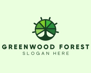 Green Steering Wheel Tree logo design