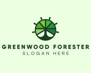 Green Steering Wheel Tree logo design