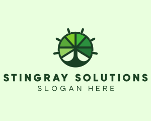 Green Steering Wheel Tree logo design