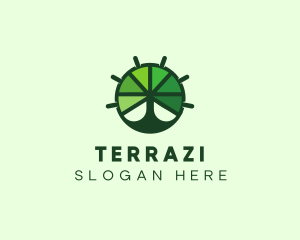 Green Steering Wheel Tree logo design