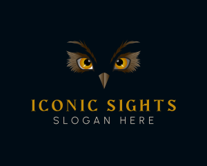 Night Owl Aviary logo design