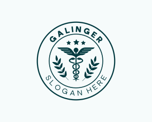 Medical Caduceus Staff Hospital Logo