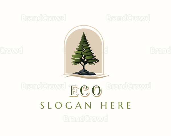 Pine Tree Forestry Logo