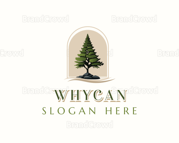 Pine Tree Forestry Logo