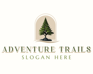 Pine Tree Forestry logo design