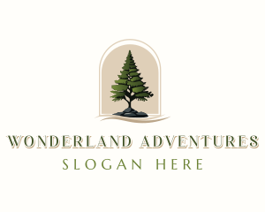 Pine Tree Forestry logo design