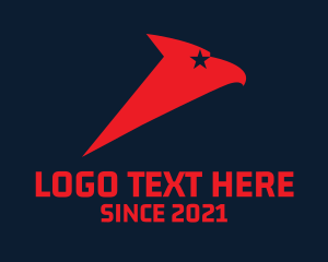 Patriot - Star Eagle Aviation logo design
