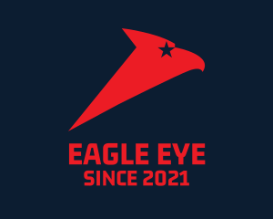 Star Eagle Aviation  logo design