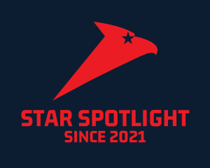 Star Eagle Aviation  logo design