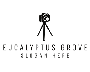 Photography Photographer Camera logo design