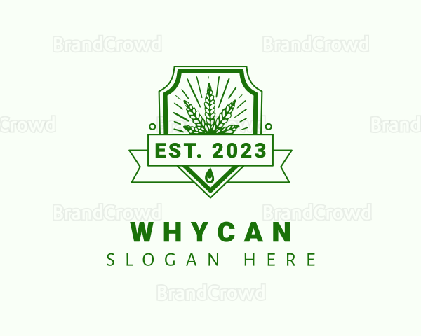 Marijuana Plant Shield Logo