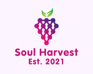 Grape Fruit Produce logo design