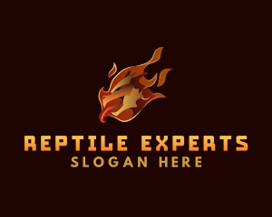 Fire Dragon Reptile logo design