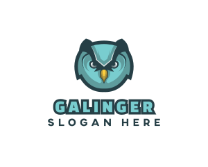 Owl Bird Streaming Logo