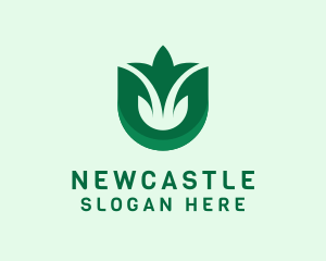 Sigil - Natural Leaf Plant logo design