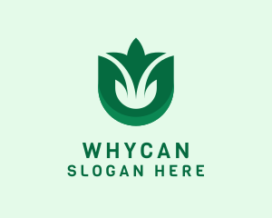 Insignia - Natural Leaf Plant logo design