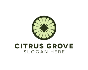 Citrus - Fruit Citrus Flower logo design