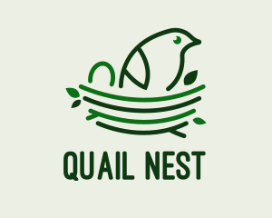 Baby Bird Nest  logo design