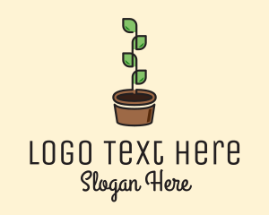 Indoor Plant Pot  Logo