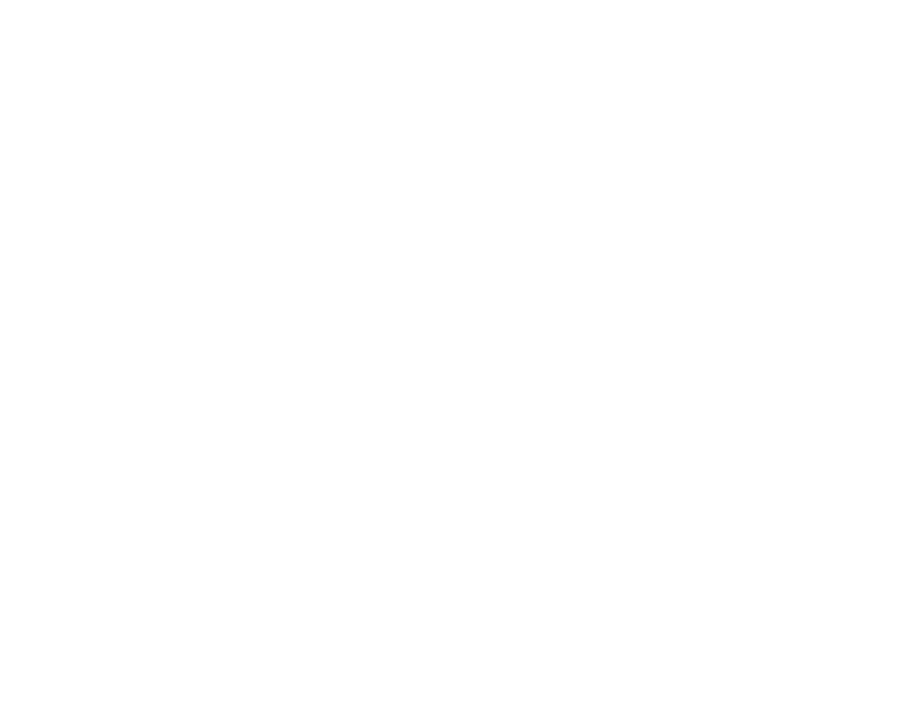 NetAV's logo