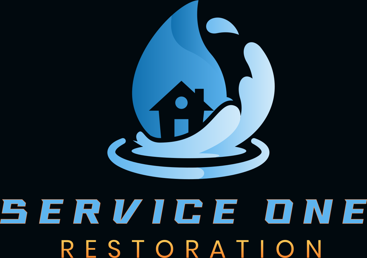 Service ONE 's logo