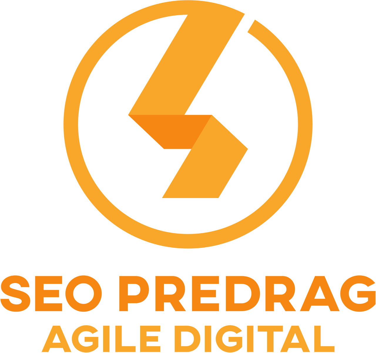SEO PREDRAG's logo