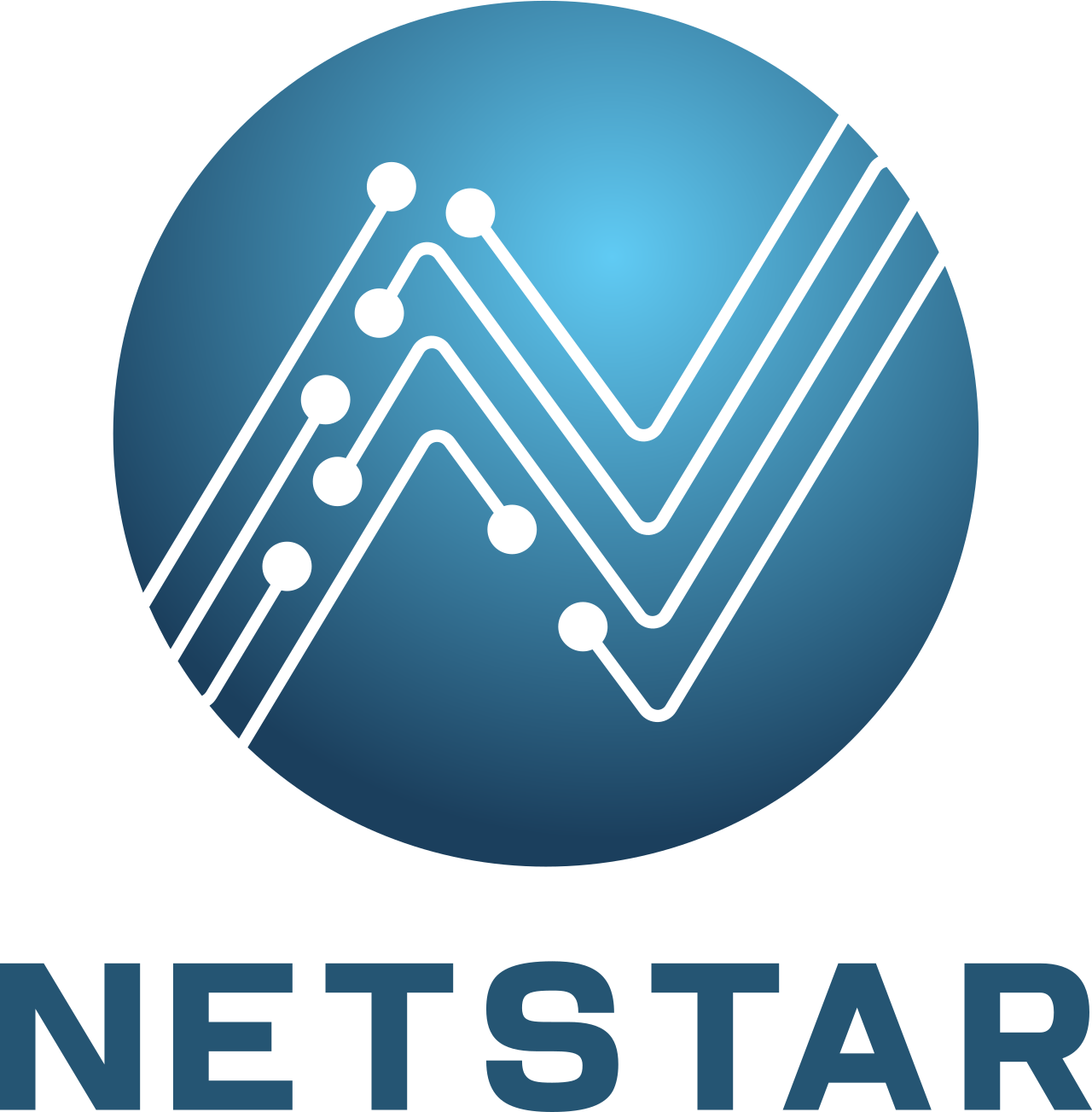 Netstar's logo