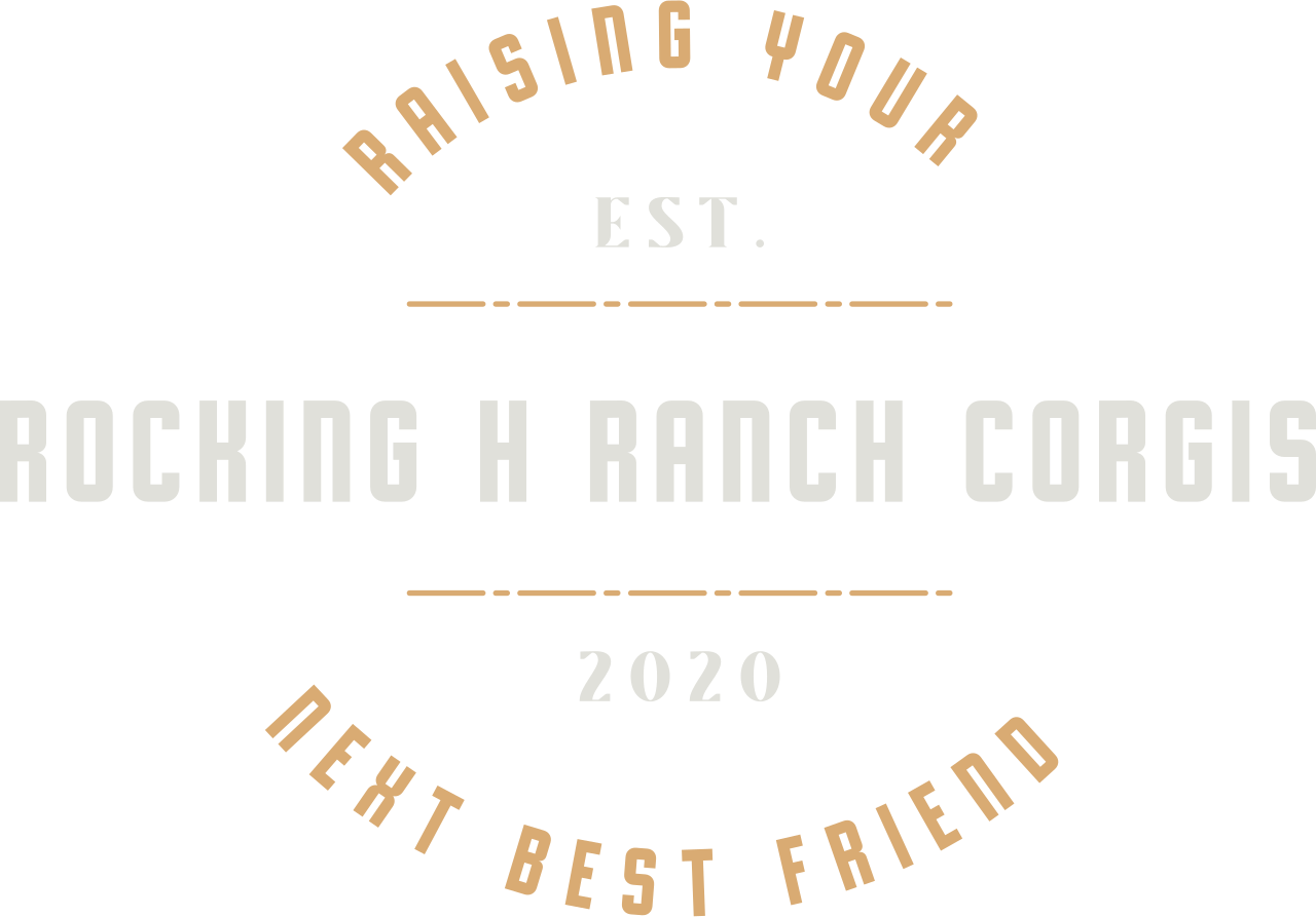 Rocking H Ranch Corgis 's web page