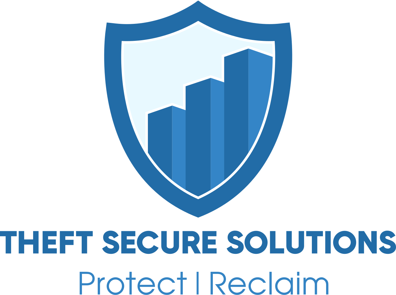 Theft Secure Solutions's web page