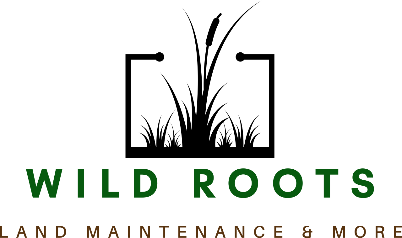 wild roots's web page