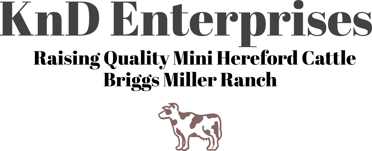 KnD Enterprises / BriggsMillerRanch's logo
